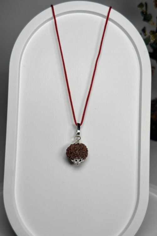 7 Mukhi Rudraksha with Silver Locket – Saat Mukhi