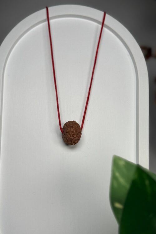 9 Mukhi Nepali Rudraksha – Nau Mukhi