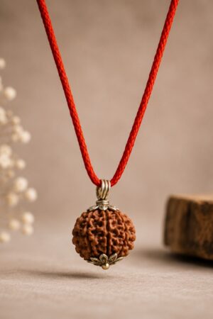 10 Mukhi Rudraksha