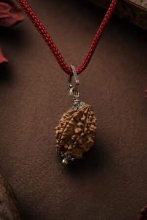 2 Mukhi Rudraksha Pendant