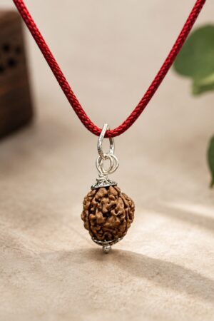 4 Mukhi Rudraksha