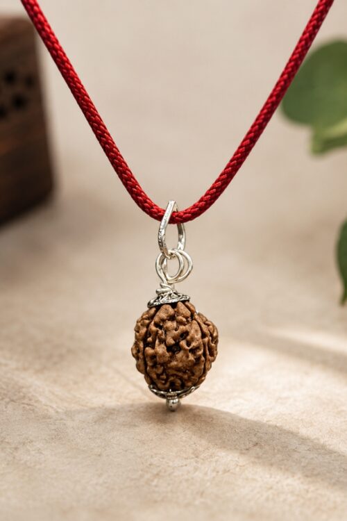 4 Mukhi Rudraksha