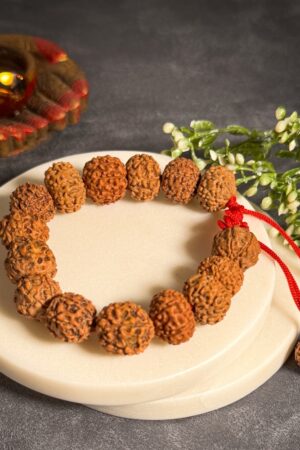 7 Mukhi Rudraksha Bracelet