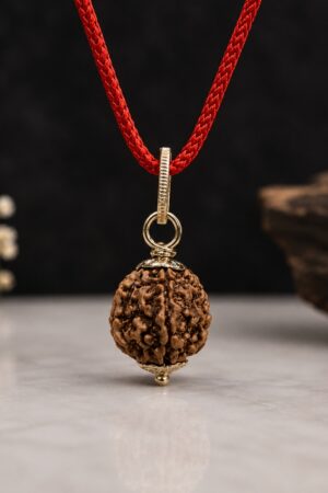 5 Mukhi Rudraksha
