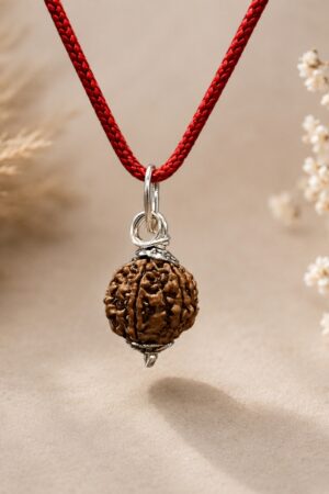 6 Mukhi Rudraksha