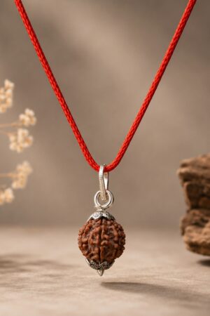 7 Mukhi Rudraksha